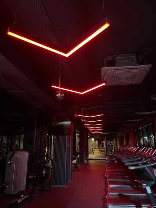 Дизайнерский LED светильник птичка