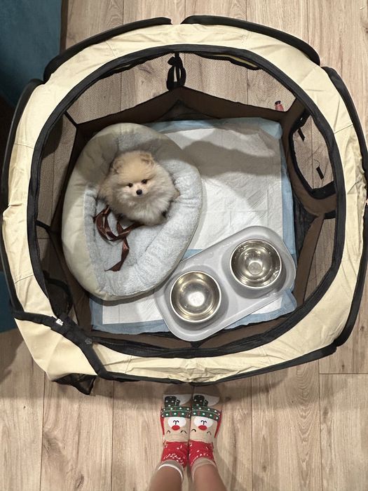 Вальер для собак и кошек