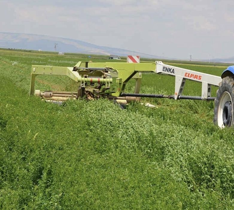 Люцерна Семе Клас Топ Качество! Висок Добив!