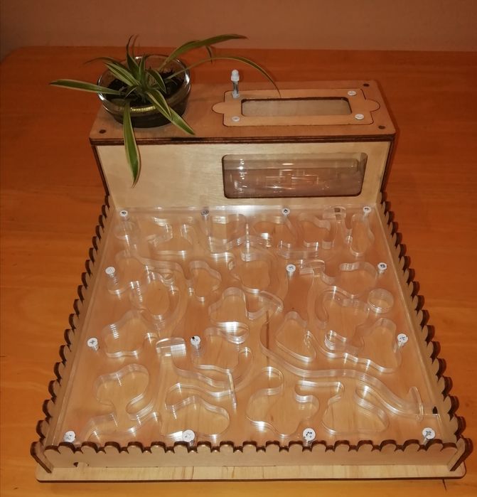 Муравьиная ферма