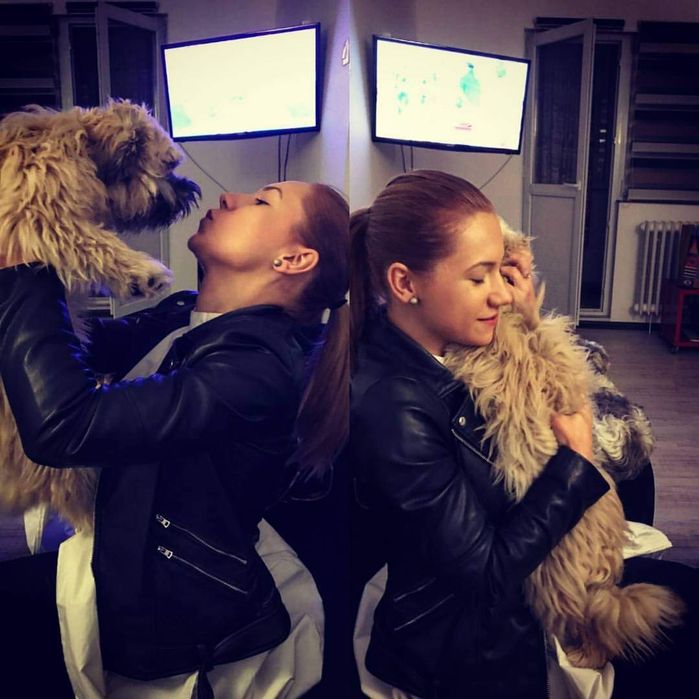 Pet Sitter, Dog walking -vizite la tine acasa
