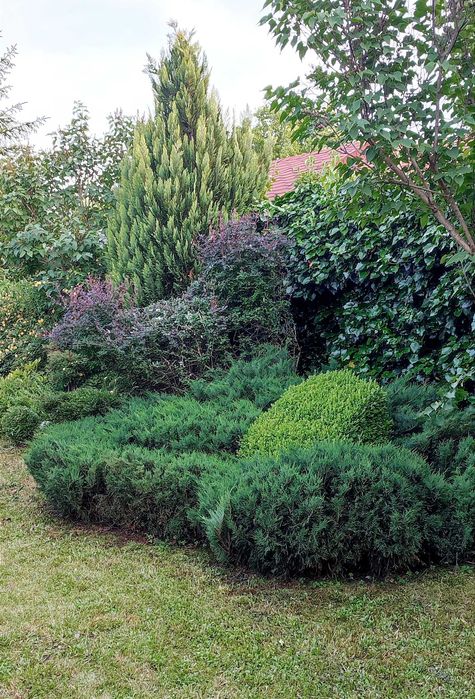 Продава се Къща в с. Алдомировци, Област София-област - 40 кв.м за 1875 €/кв.м - Снимка #11