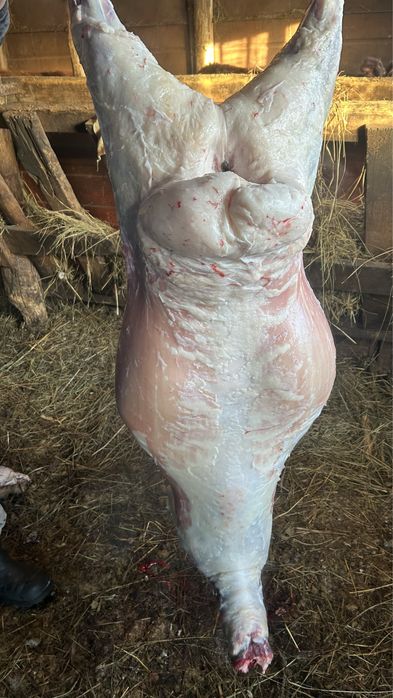 Продам мясо баранины