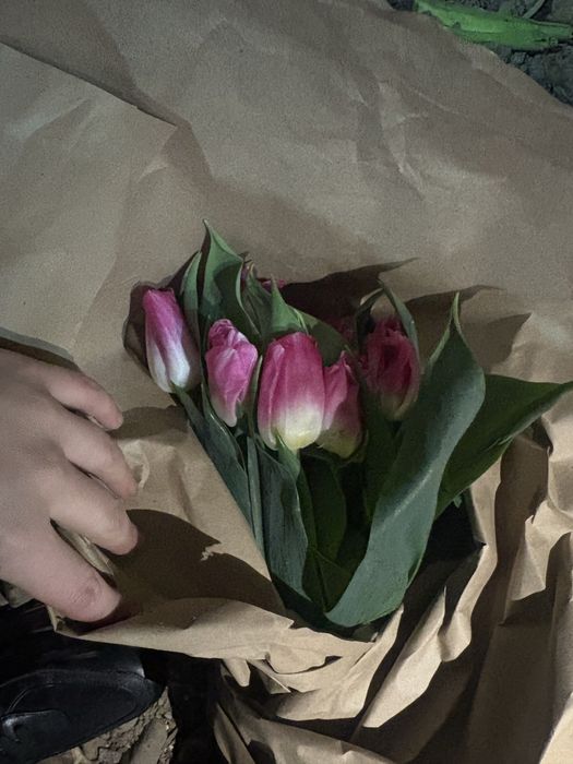 Тюльлпан оптом шымкент