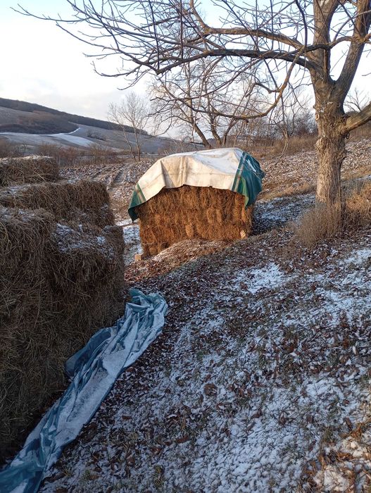 De vânzare baloți dreptunghiulari făcuți din fan