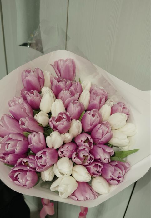 Тюлпаны 51штук свежие