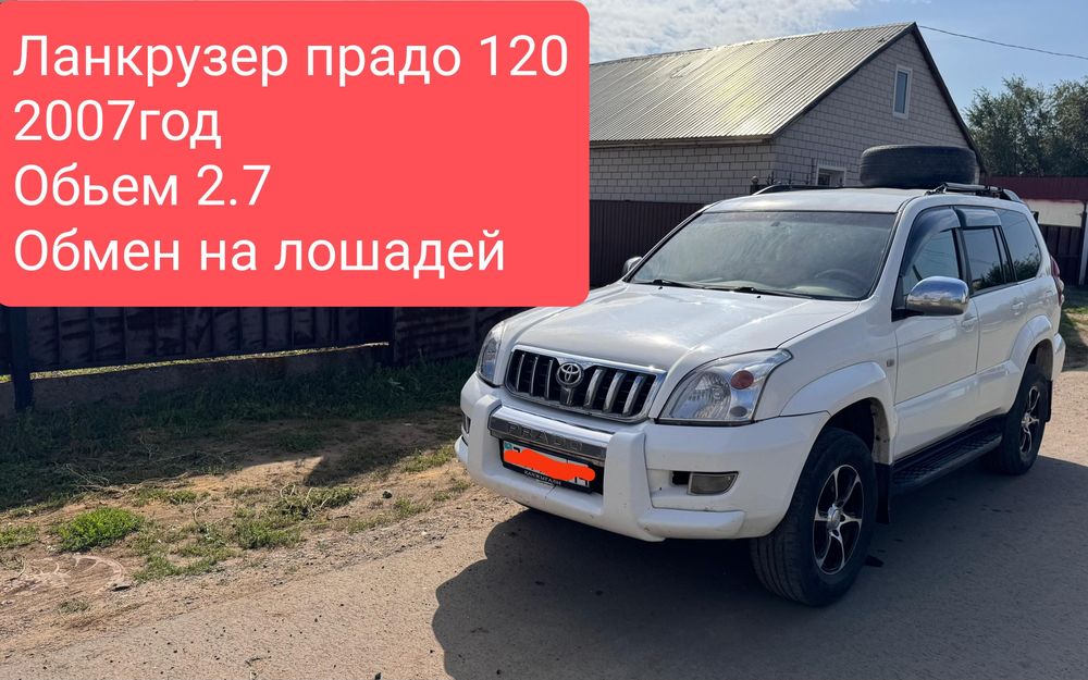 Обмен на лошадей