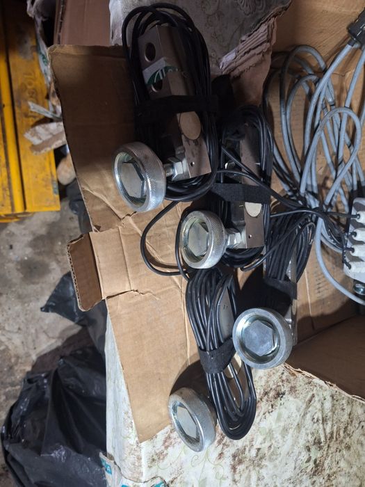 cantar de cantarit Animale