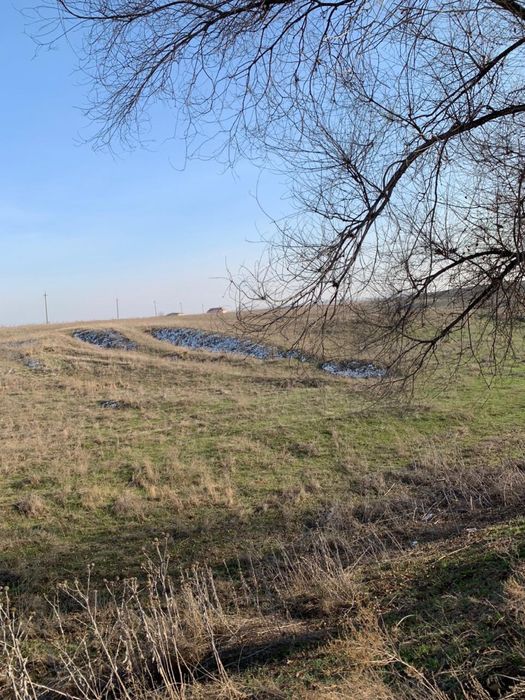 Продам участок 5 гектаров срочна