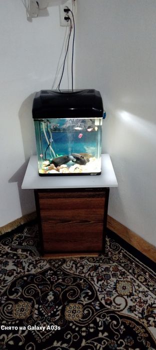 Заводской акварюм 50 тысяч