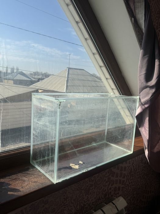 Аквариум/террариум