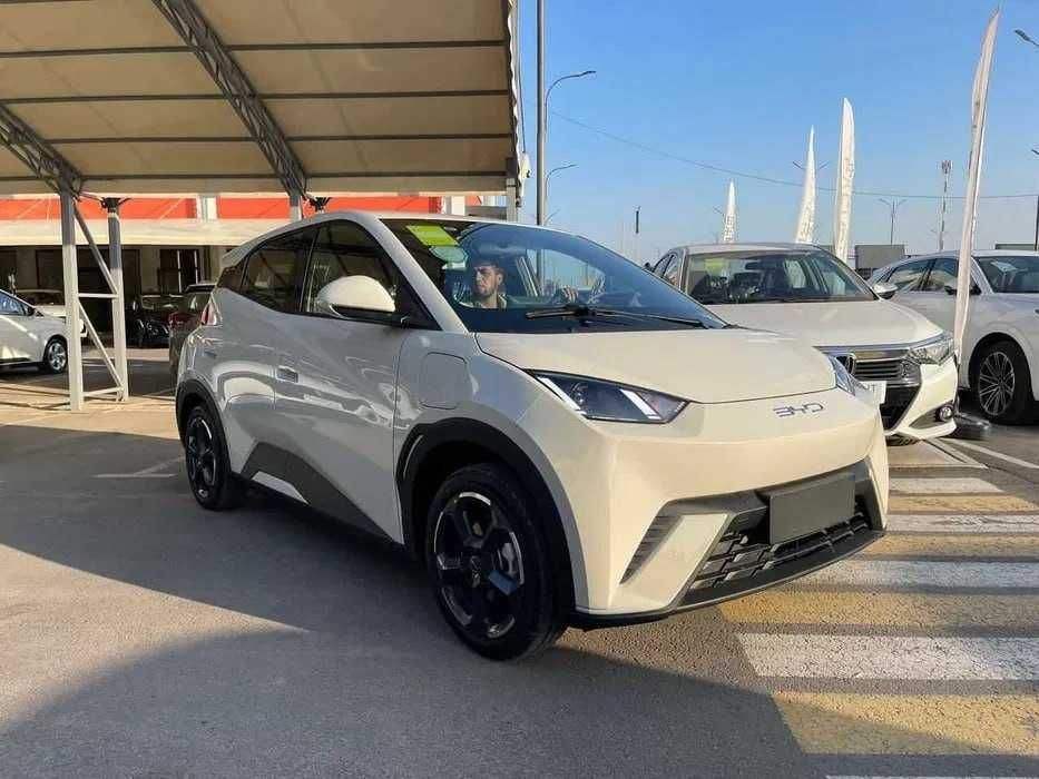 BYD Seagull naqd va halol nasiyaga