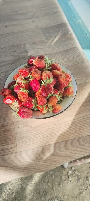 Продам дачу на баме г. Сатпаев