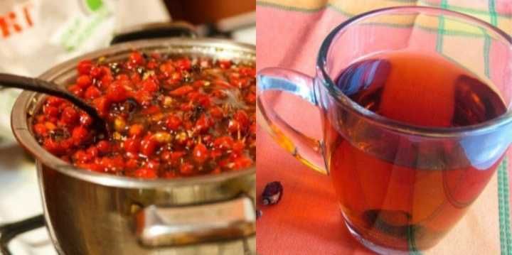 Шиповник шиповник