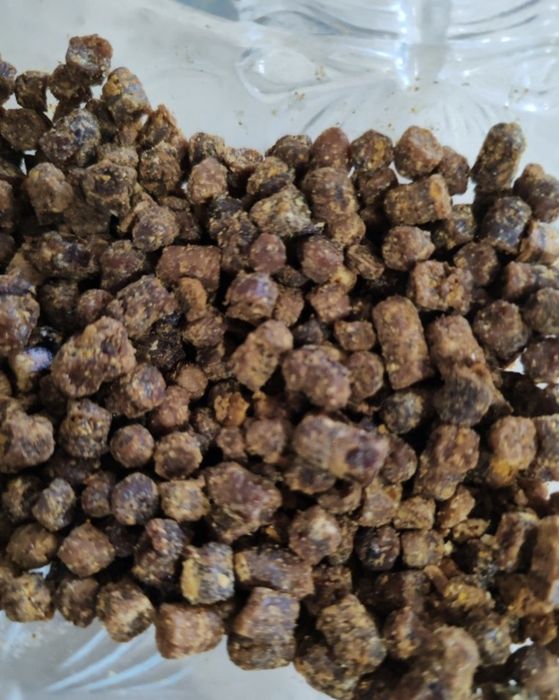 Перга вкусная продам