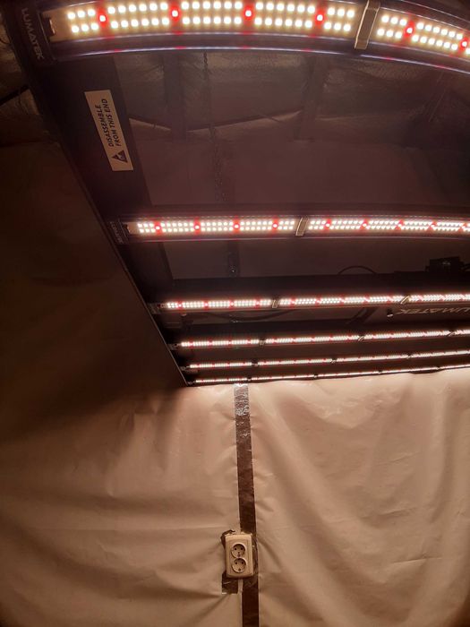 Lumatek Zeus PRO 2,9 led grow light