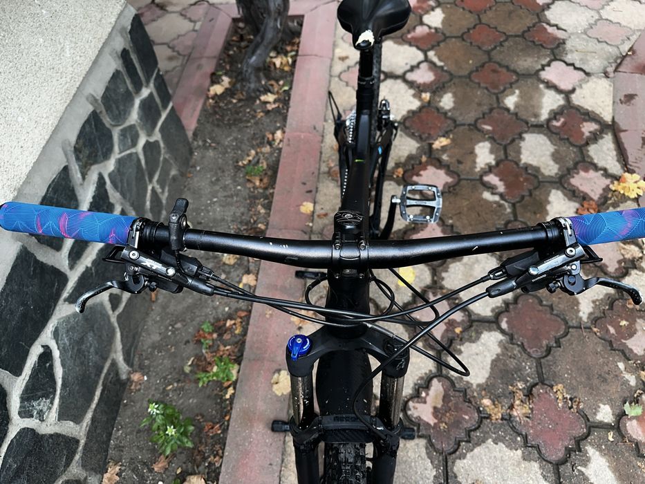 Canyon neuron 2017 AL 29