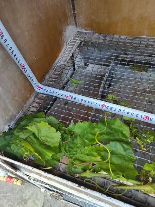 Клетка для животных -птиц .