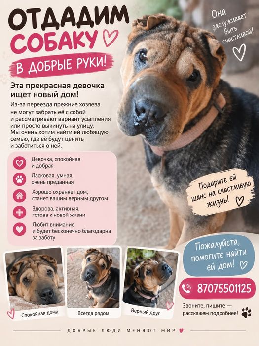 Щеноки в добрые руки.