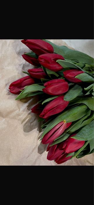 Тюльпаны РАСПРОДАЖА Астана, оптом и в розницу.