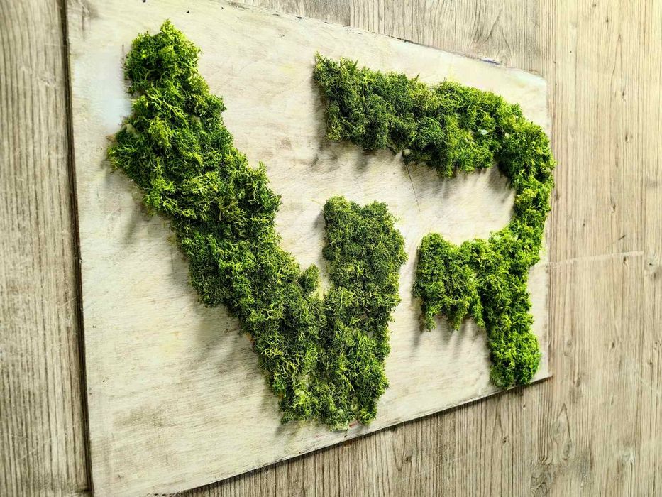 Детски парти център - зала под наем - Младост 1