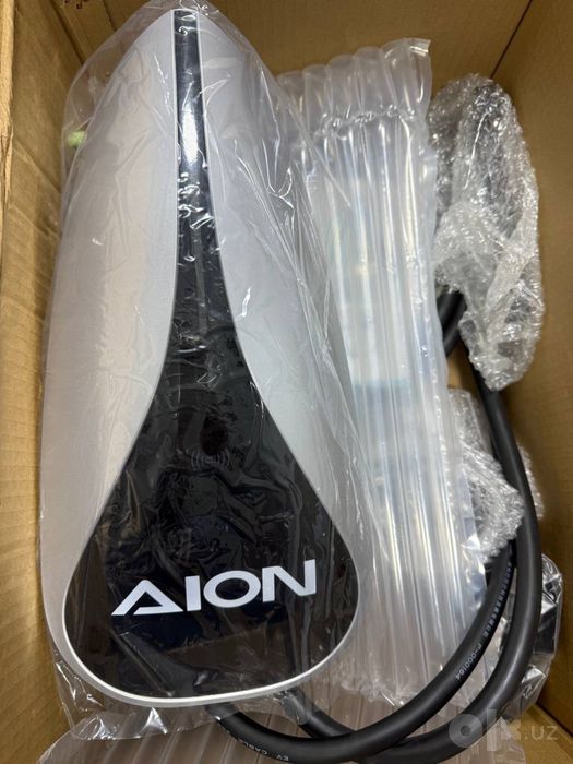 Gac Aion original 7kwt zaryadka