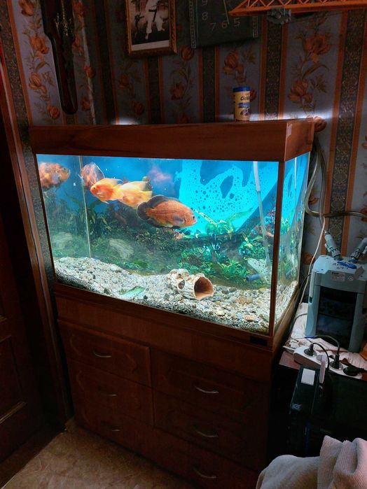 Аквариум.продам.