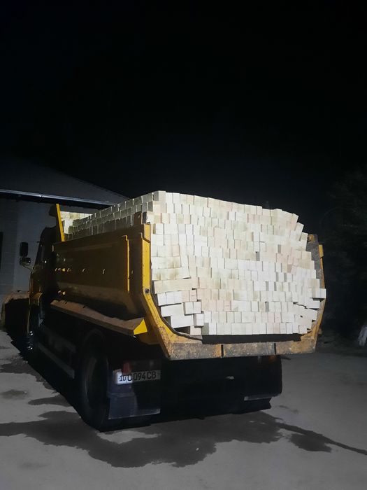 Pishgan va xom gisht bor