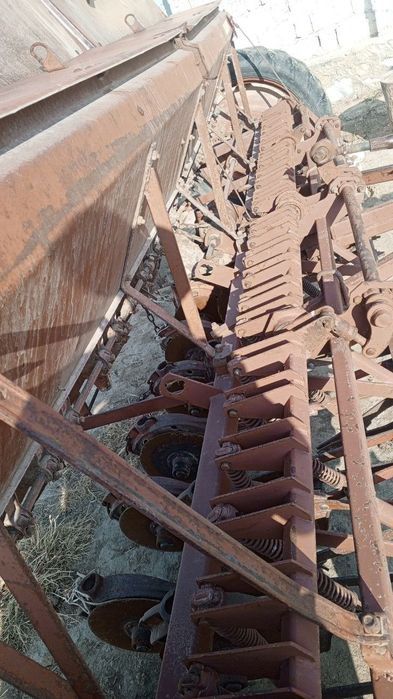 G'alla selka yaxshi holatda