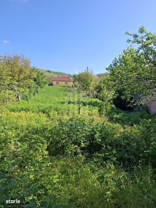 Casă cu două corpuri de clădire și teren generos – sat Boarta, județul