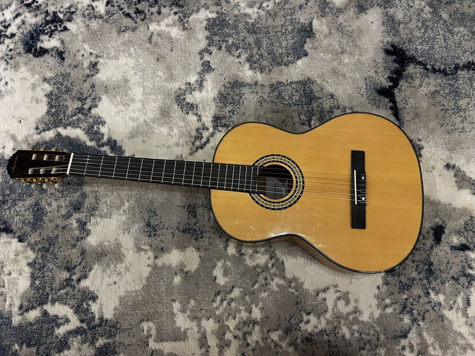 Гитара Agnetha проктически новая