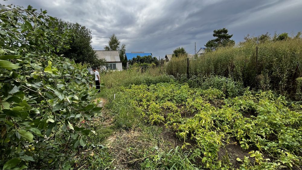 Дача Ақтөбе,Актобе