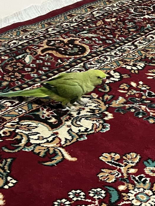 Срочно продам ожирелье ручной