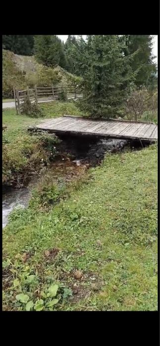 Oportunitate Unică: Domeniu Montan de 2.4 Hectare cu Casă – Ideal Turism, camping sau Rezidență