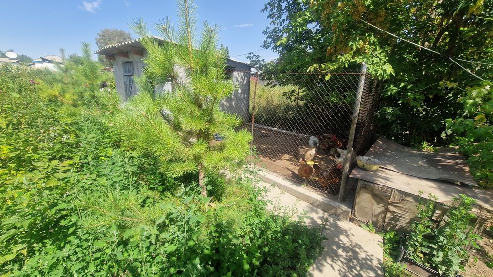 Уй сатылады,Қарабұлақ.