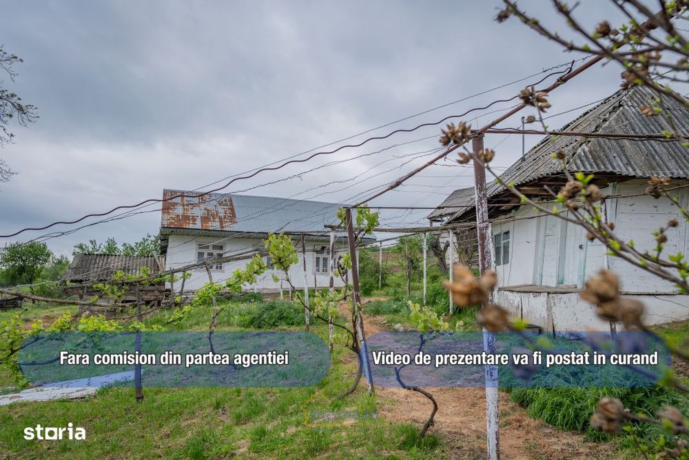 Casa din chirpici, bucatarie de vara si 1.34 ha de teren, Ardeoani