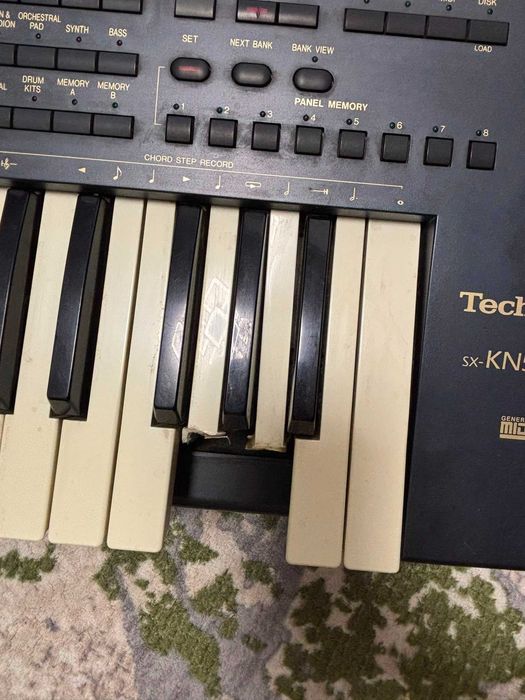 Orga electronica