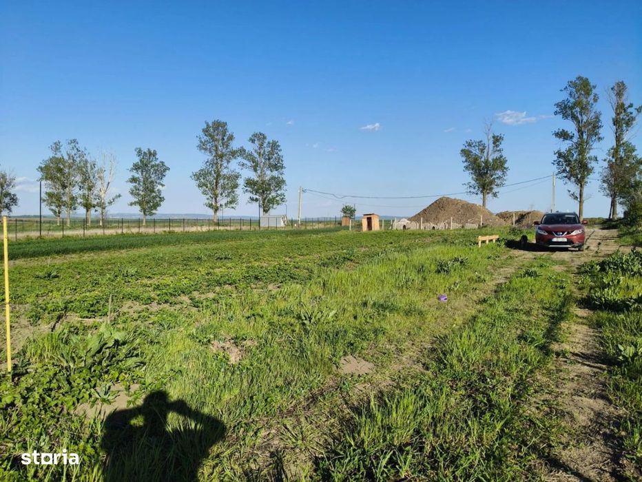 Teren Intravilan iesire Vorovești - 500 mp - 20.000 Euro