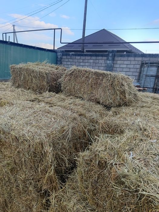 Қырдың майда шоп 1300 тенге