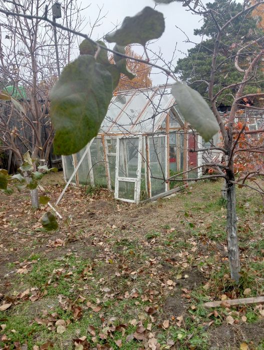 Продам дачу 5 соток