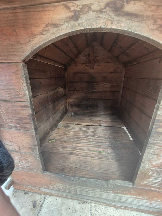 Cusca catei in stare buna