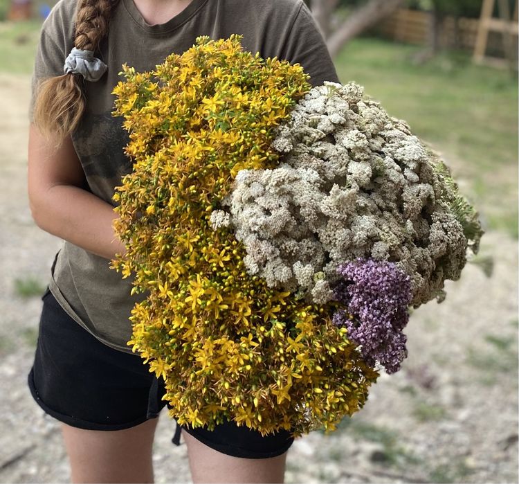 Coada de curcan 120 lei/100gr/ am cantitate mare 2 kg uscata