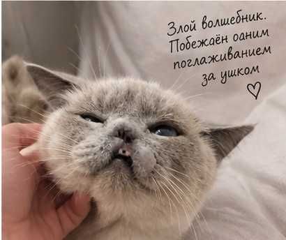 Волан-де-мурт мщет своего человека