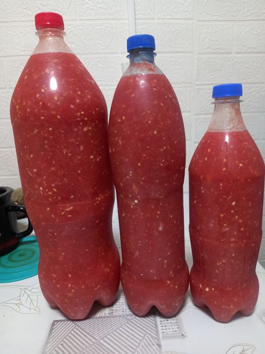 Продам домашнюю кобру