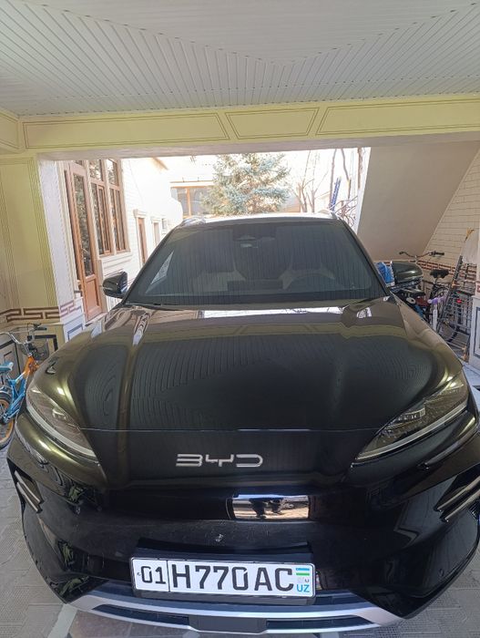 BYD Чемпион вариант на берилади