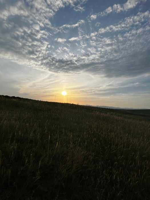 Teren intravilan cu PUZ si electricitate la 2 pasi