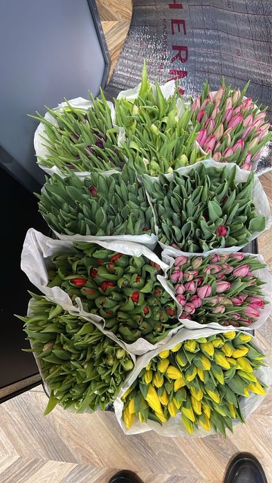 Тюльпаны по 500 тенге