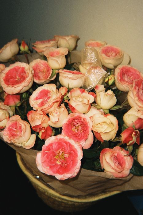 Свежие кустовые пионовидные розы