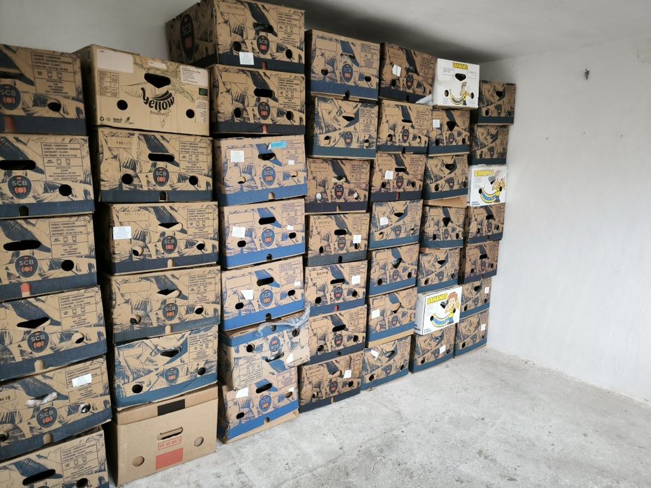 Baxuri, cutii de banane