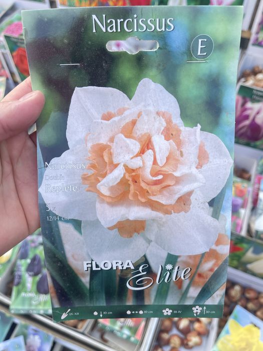 Нарциссы сортовые